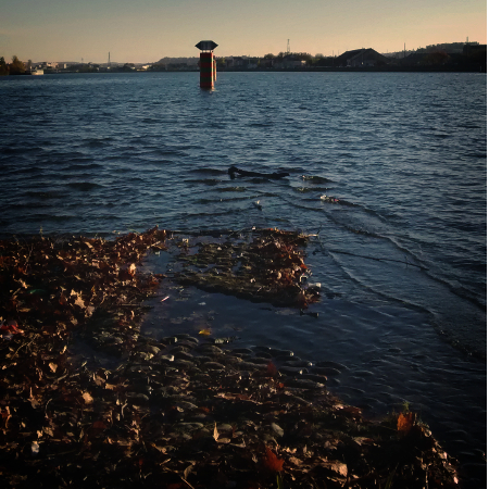 Confluence(s)_Thumb