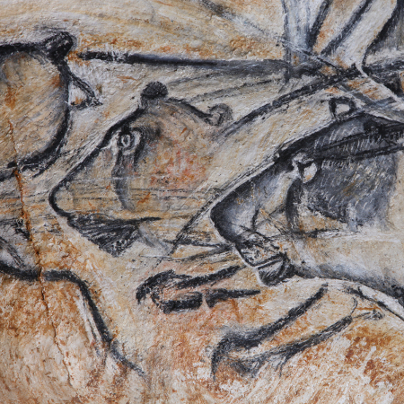 Caverne du Pont d'Arc Grotte Chauvet 2 ardècye