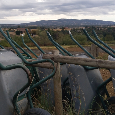 Où aller à la cueillette à la ferme près de Lyon ?