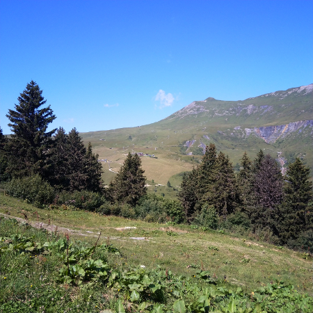 Activités été pour les enfants aux Contamines-Montjoie