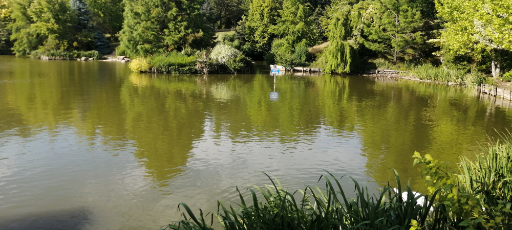 jardin-du-bois-marquis-etang-2