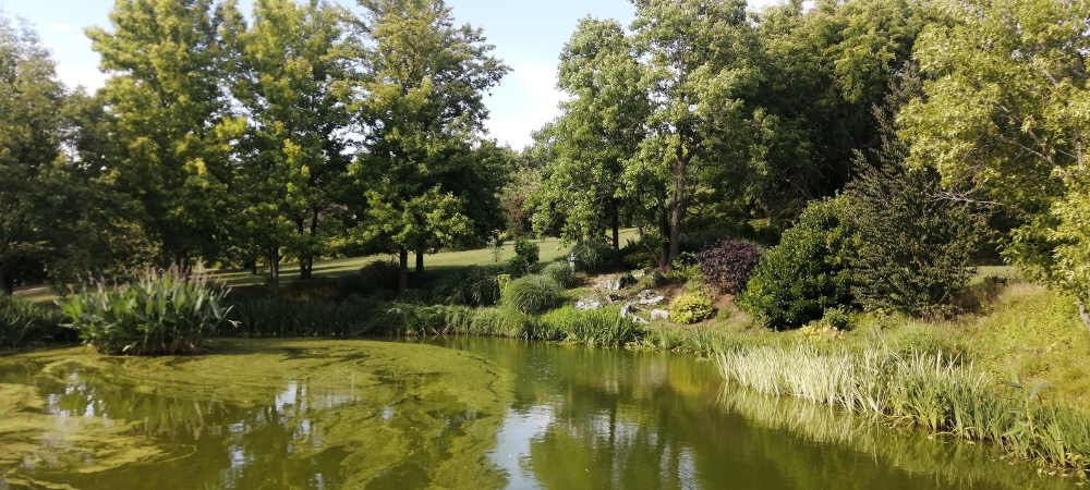 jardin-du-bois-marquis-etang-3