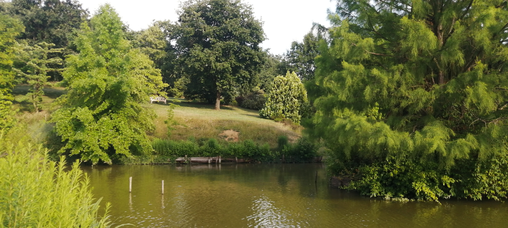 jardin-du-bois-marquis-etang