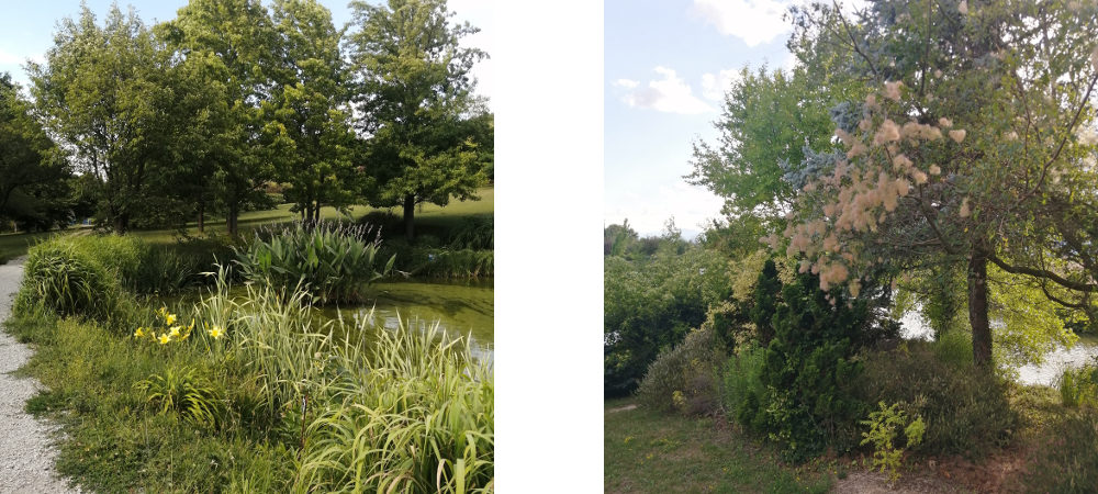 jardin-du-bois-marquis-paysage