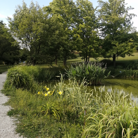 Jardin du Bois Marquis, un voyage botanique près de Lyon