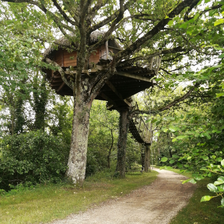 Dormir dans les arbres dans la Dombes