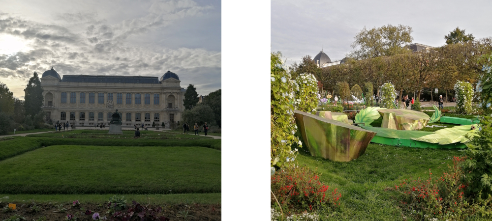 jardin des plantes paris muséum