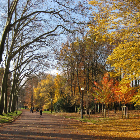 Comment aller au parc de la Tête d’Or à Lyon ?